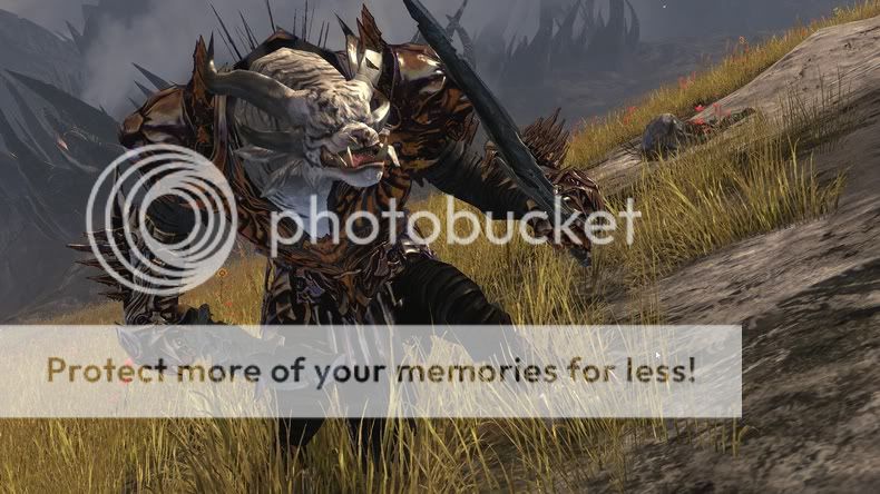 Guild Wars 2: Παρουσίαση