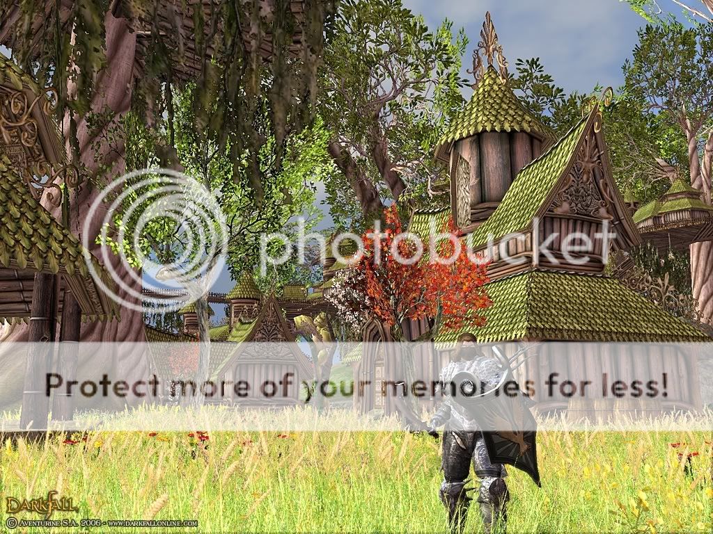 Darkfall Online open beta
