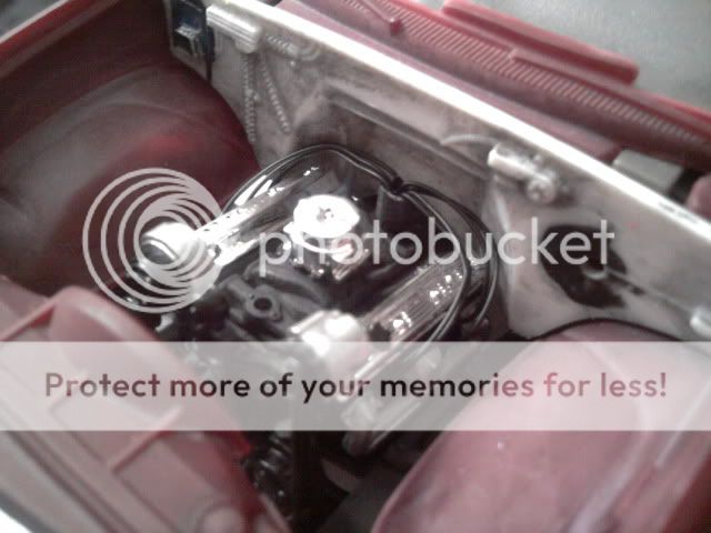 Posted Image