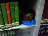 th_plantend00.jpg