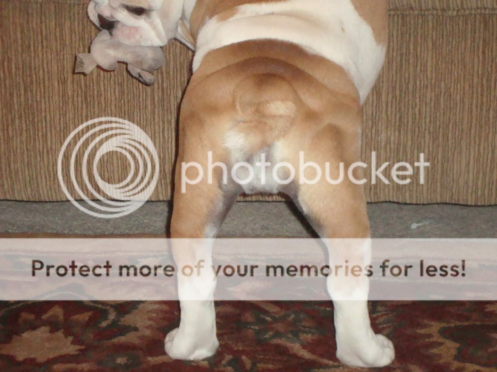 [linked image]
