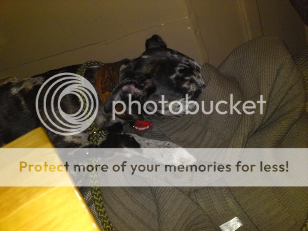DSC00625.jpg
