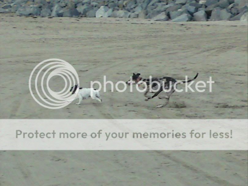 DSC00746.jpg