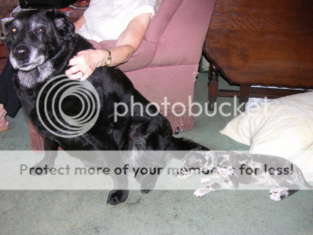 DSCN0230.jpg