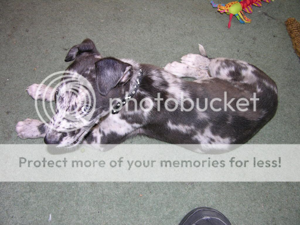 DSCN0237.jpg