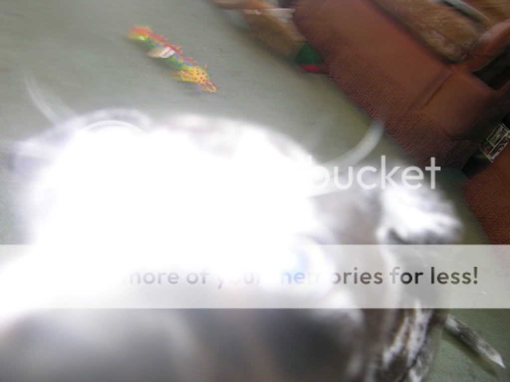 DSCN0244.jpg