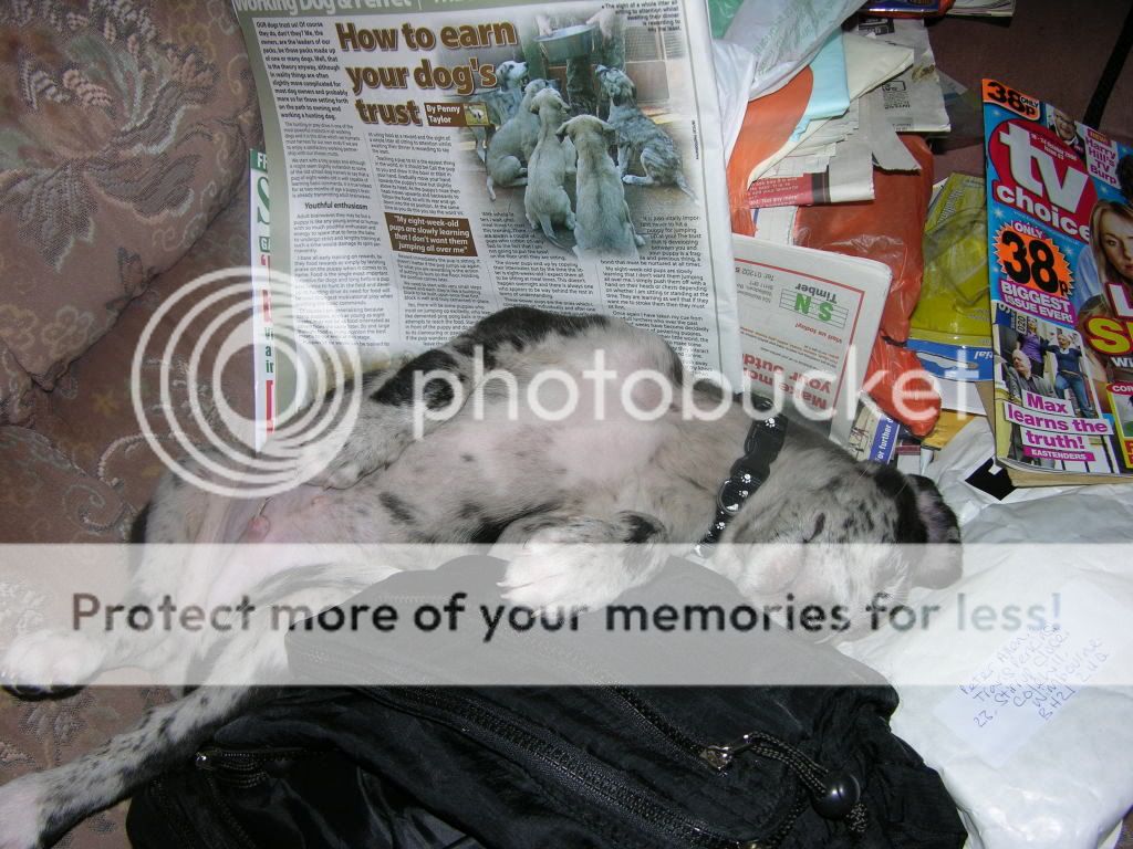 DSCN0248.jpg