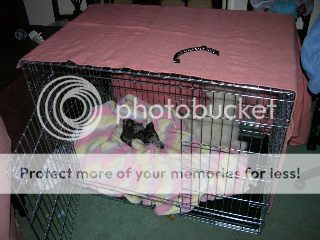DSCN0279.jpg