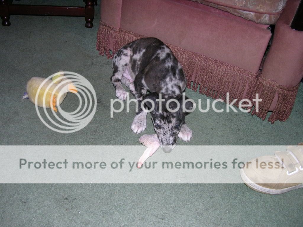 DSCN0280.jpg