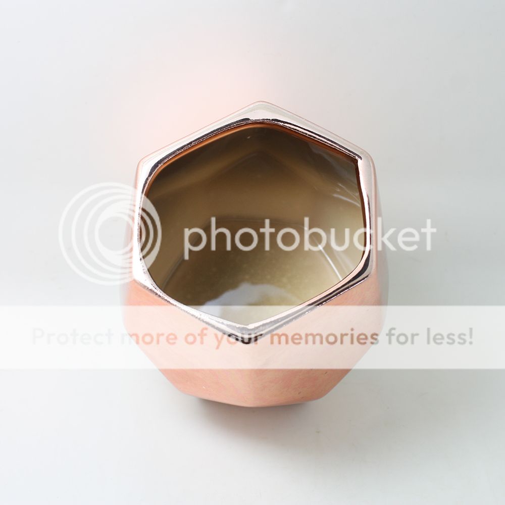 Rose Gold Glazed Planter Pot Plating Ceramic Plant Flower Gloss Garden eBay
