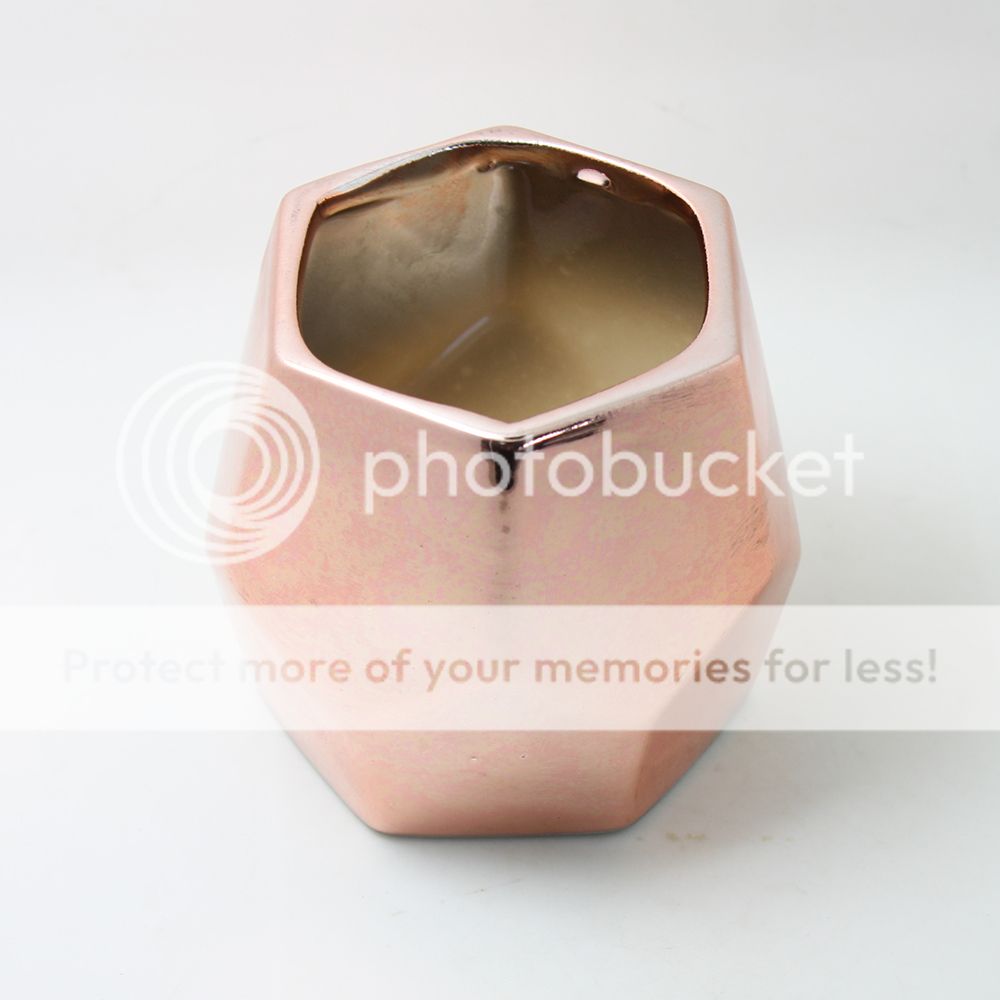 Rose Gold Glazed Planter Pot Plating Ceramic Plant Flower Gloss Garden eBay