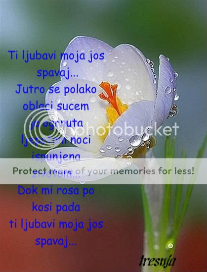 aa5450b0ee98a96e5d5dceddfadb7033-1.jpg