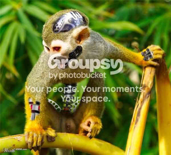 monkey-bot.jpg